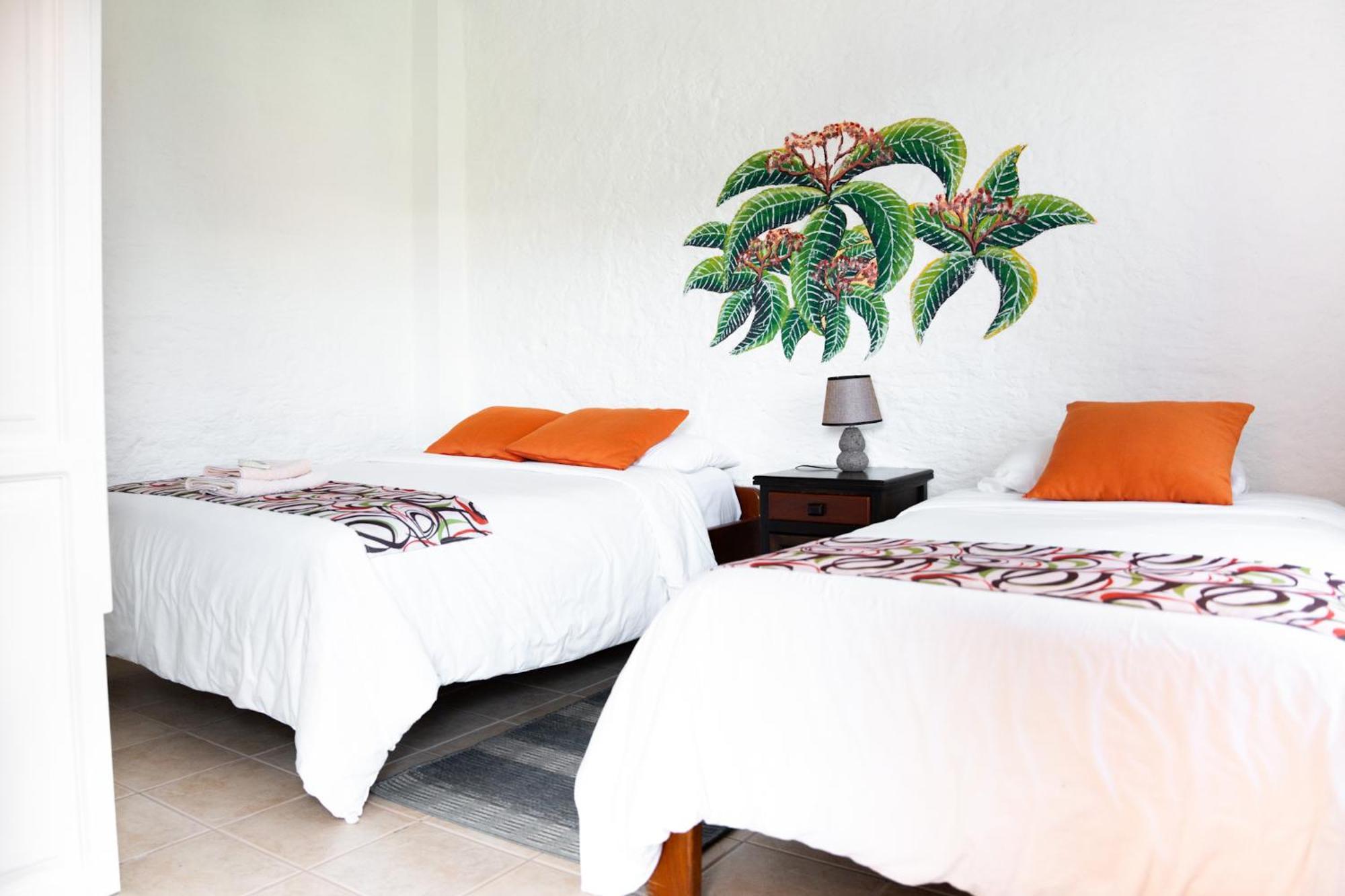 Hotel Miconia ปูแอร์โต บาเกริโซ โมเรโน ภายนอก รูปภาพ