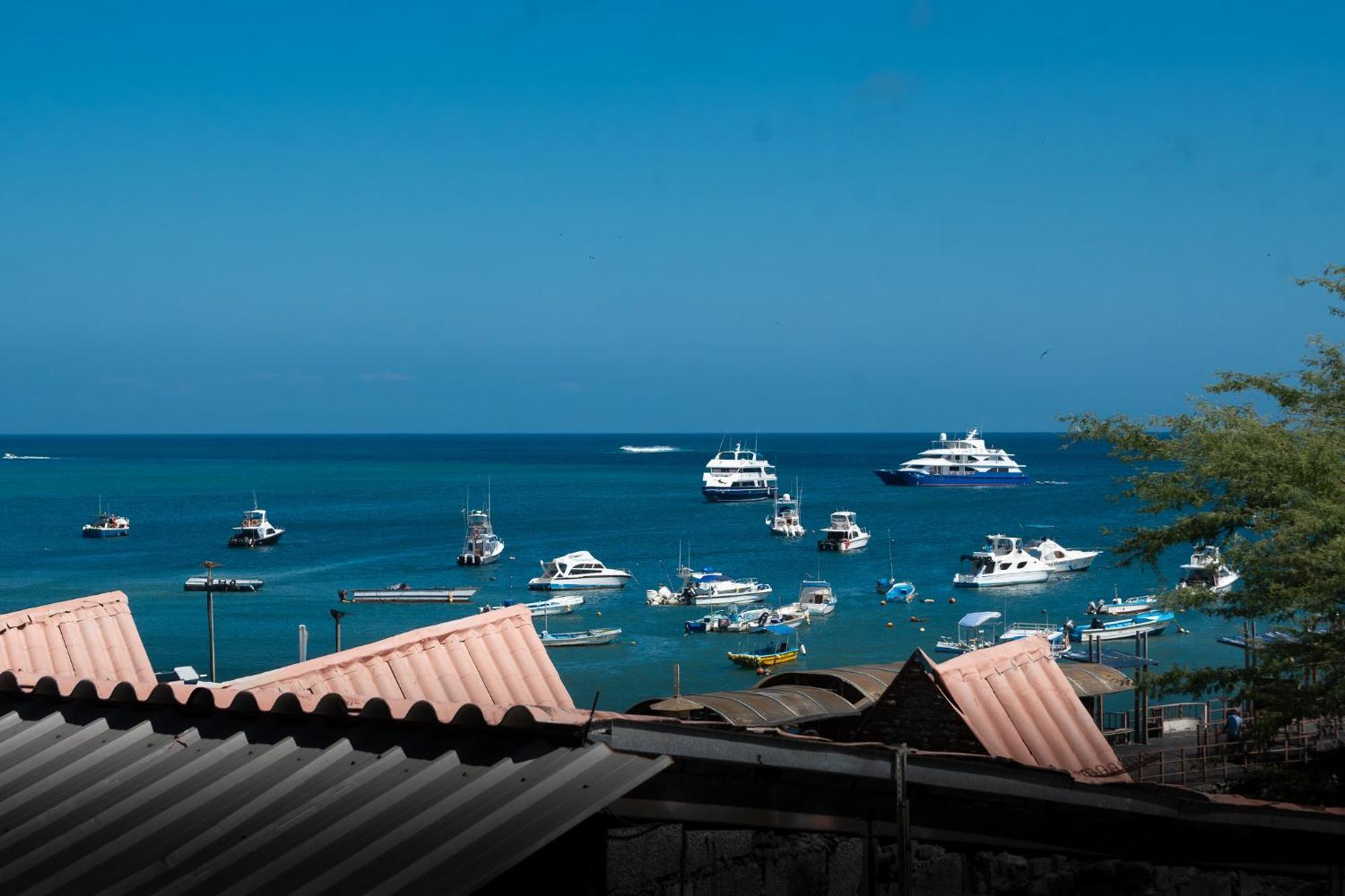 Hotel Miconia ปูแอร์โต บาเกริโซ โมเรโน ภายนอก รูปภาพ