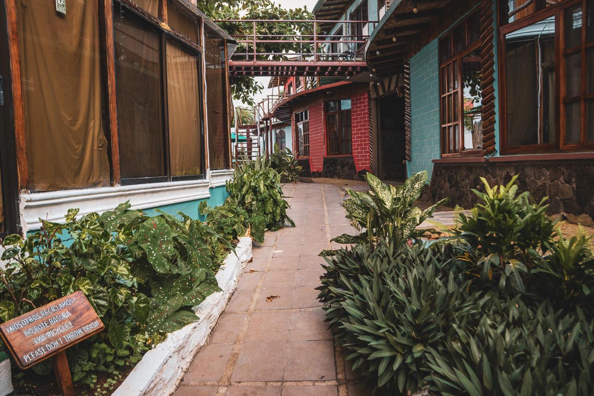 Hotel Miconia ปูแอร์โต บาเกริโซ โมเรโน ภายนอก รูปภาพ